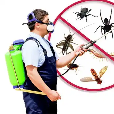 pest control Brownfields